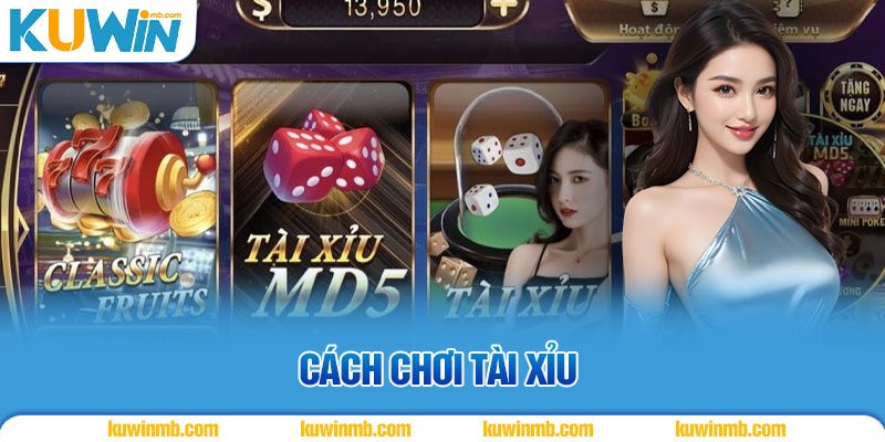 cách chơi tài xỉu