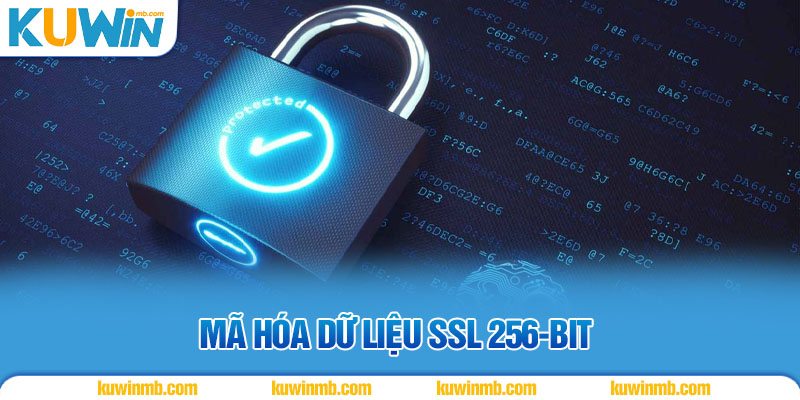 Mã hóa dữ liệu SSL 256-bit